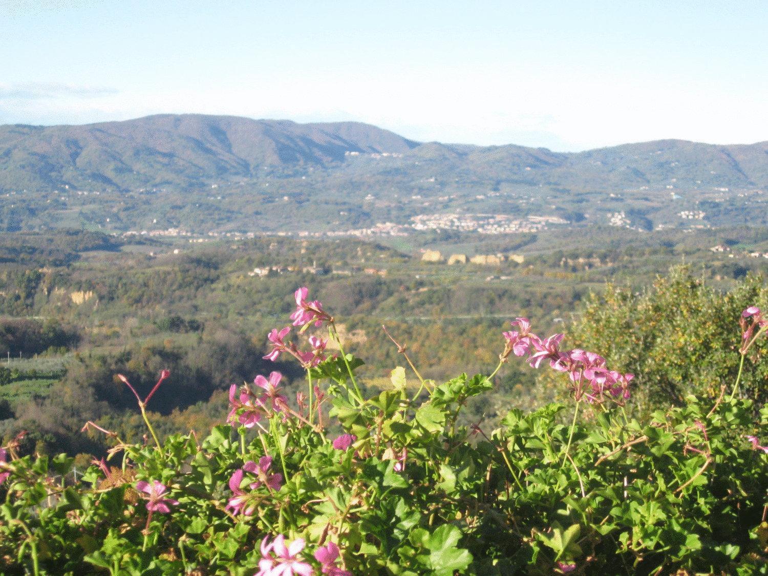 Agriturismo La Capitata Pian di Scò エクステリア 写真