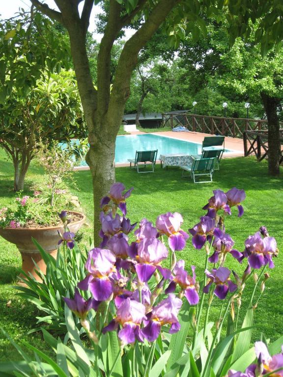 Agriturismo La Capitata Pian di Scò エクステリア 写真